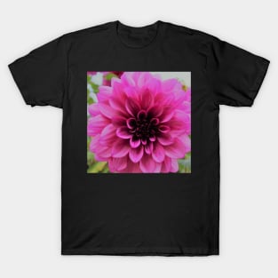 Bright Pink Dahlia T-Shirt